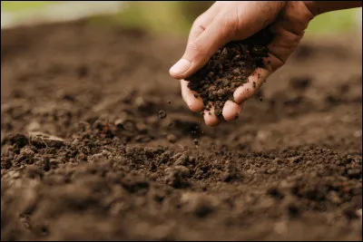 Quest-ce qu'une langue de terre ?