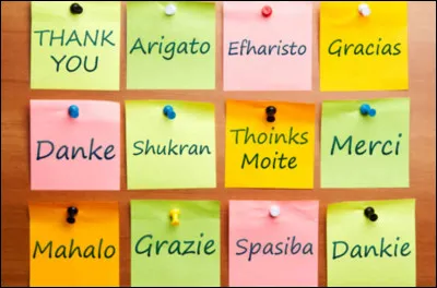 Comment appelle-t-on une personne parlant plusieurs langues ?