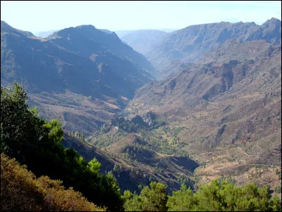 Quelle est la particularité du langage présent dans plusieurs vallées du monde ?