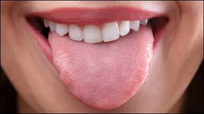 Quel adjectif est relatif à la langue ?