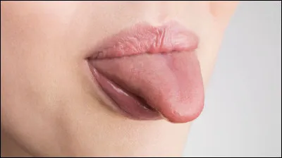 Quel sens est associé à la langue ?