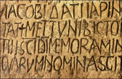 Comment sont appelés le latin, le sumérien et le phénicien ?