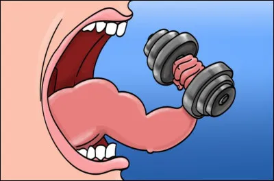 Combien de muscles mobilise la langue ?