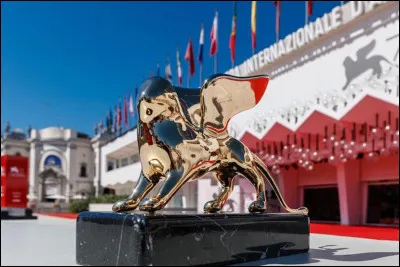 Saviez-vous que j'ai réalisé un film ? Je viens d'ailleurs de recevoir ce "Lion d'or". Où suis-je ?