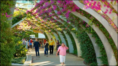 Aujourd'hui, balade dans les South Bank Parklands, un très bel ensemble d'espaces verts. Où suis-je ?
