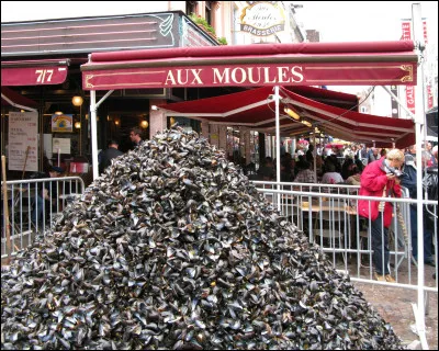Je me balade en zigzaguant entre les fameux tas de coquilles de moules dispersés dans la ville. Où suis-je ?
