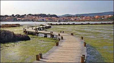 Je vous emmène sur les bords de l'étang de Bages-Sigean, à Peyriac-de-Mer. Commune occitane, dans l'aire d'attraction Narbonnaise, elle se situe dans le département ...