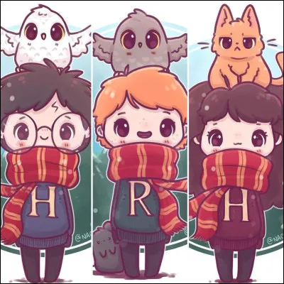 Quel est ton plus grand d&eacute;faut ?