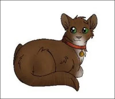 Et pendant ce périple, qui les a "guidés" soi-disant vers Minuit ?