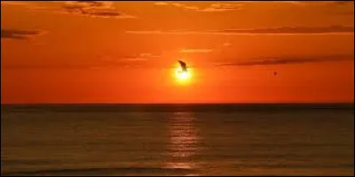 Continuons ; quand ils sont arrivés, qui était "Minuit" ?