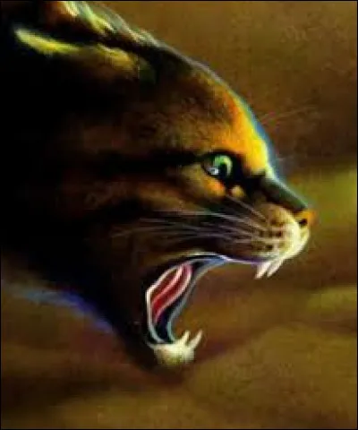 Et qui est le grand matou affreux qui terrorise cette tribu ?