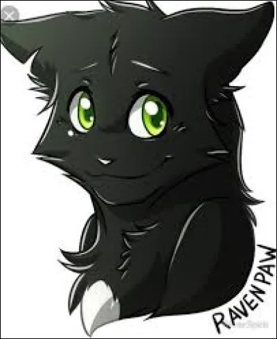 Et qui aurait dû devenir le chef du Clan du Vent après sa mort ?