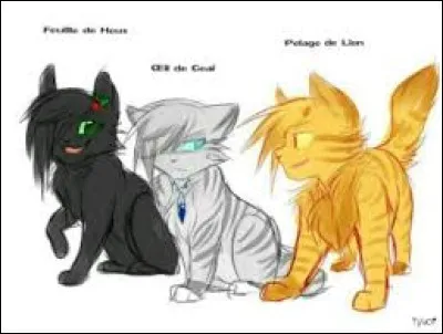 Quels sont les noms de guerriers (guérisseurs) de ces trois apprentis : Nuage de Geai, Nuage de Lion et Nuage de Houx ?