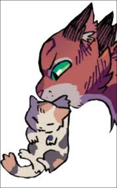 C'est bientôt la fin ! P'tite question : Qui est la première reine à avoir donné des chatons dans le terrain du Lac ?