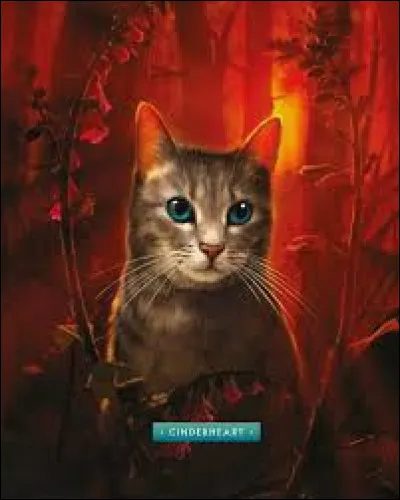 Question de fin du cycle 2 (tome 6). Quelle est la réincarnation de Museau Cendré ?