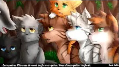 Hey ! Passons au cycle 2. Dans le périple de Minuit, qui n'a pas été choisi, mais a accompagné ?