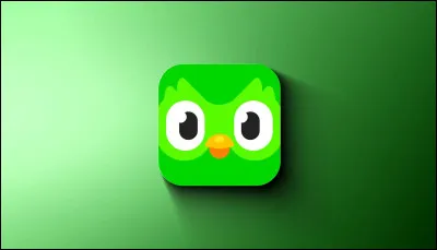 De quelle application est cette icône ?