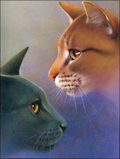 Qui sont leurs chatons ?