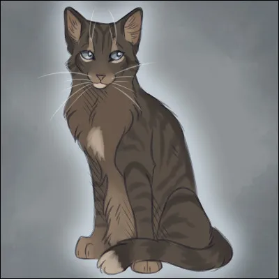 Quel est le nom complet de Source ?