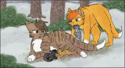 Quel choix fait donc Feuille de Lune pour lui, Petit Houx et Petit Geai ?