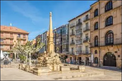 Quelle est cette ville de 40 000 habitants, situ&eacute;e dans le nord de la Castille &agrave; plus de 1000 m d'altitude sur le cours sup&eacute;rieur du Douro ?