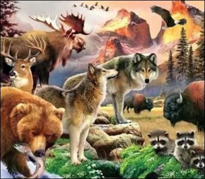 Quel est ton animal préféré parmi ceux-ci ?