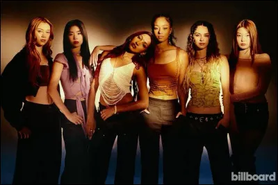 Quelle couleur de cheveux aimerais-tu avoir ?