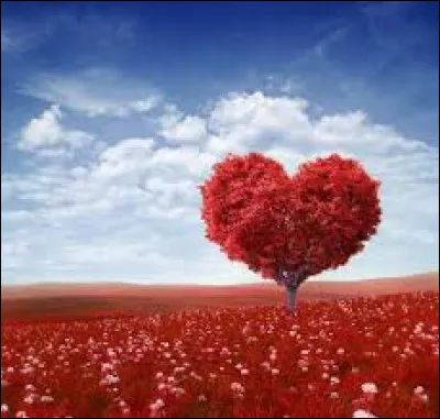 Comment dit-on le mot "amour" en anglais ?