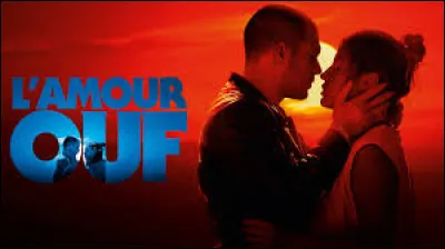 Qui a réalisé le film intitulé "L'amour ouf" sorti au cinéma en 2024 ?