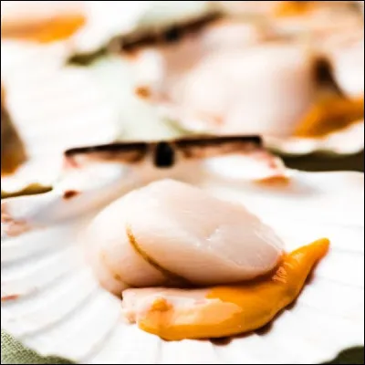 Qu'est le corail d'une coquille Saint-Jacques ?