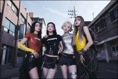 A quel clip appartient cette tenue ?