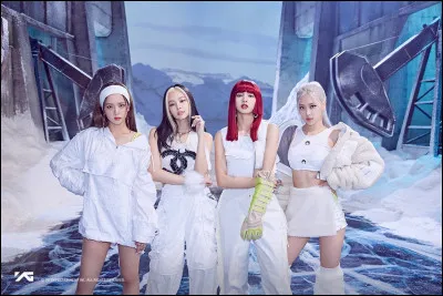 A quel clip appartient cette tenue ?