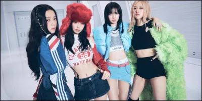 A quel clip appartient cette tenue ?