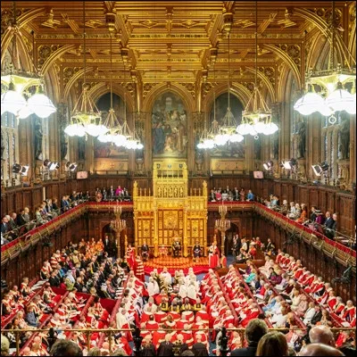 À quel groupe de militants appartenaient Muriel Matters et Helen Fox, qui senchaînèrent à une grille du Parlement britannique ?