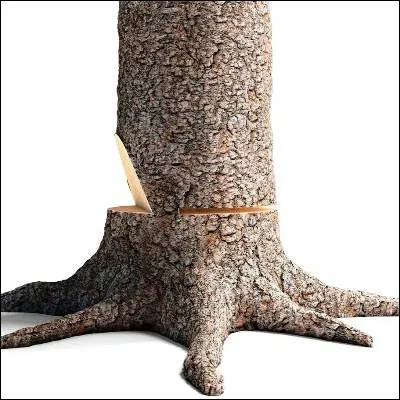 Quelle arme légendaire porte un nom signifiant "Dure entaille" ?