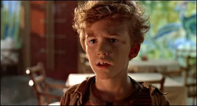 Sest-il pris un mur délectricité ?