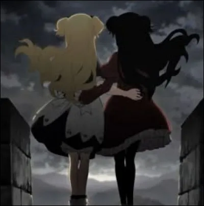 Quelle image préfères-tu ?