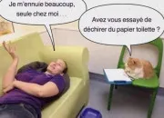Test Sur quel site devrais-tu aller si tu t'ennuies ?