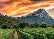 Quiz CG en 10 questions (2)