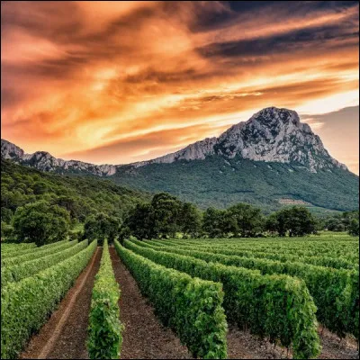 Dans quelle région française le pic Saint-Loup se trouve-t-il ?
