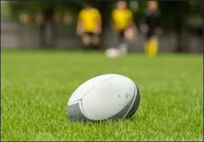 Quel pays a remporté la Coupe du monde de rugby en 1995 ?