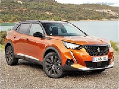 Quel est ce modèle Peugeot ?