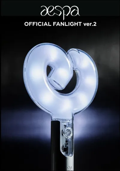 À quel groupe ce lightstick appartient-il ?