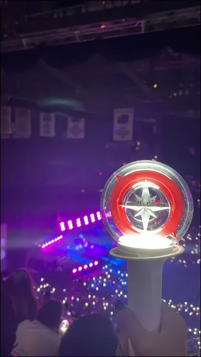 À quel groupe ce lightstick appartient-il ?