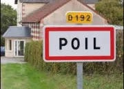 Quiz Tous  poil !