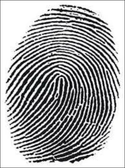 Comment appelle-t-on les plis &agrave; la surface de la peau et particuli&egrave;rement des doigts, qui forment des volutes et des tourbillons sp&eacute;cifiques &agrave; chaque doigt de chaque individu ?