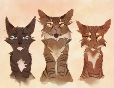 Quels sont les noms des chatons de sa deuxième portée ?