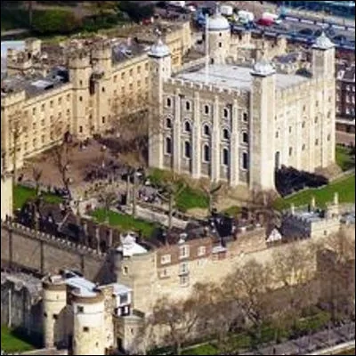 Quel oiseau cher à Edgar Allan Poe est très présent à la tour de Londres ?