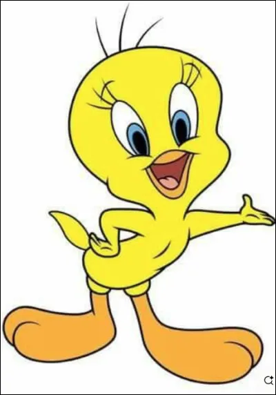 Quel est le nom du canari qui nargue le chat Sylvestre ?