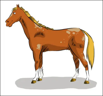 Quel est le nom enfantin pour désigner un cheval ?